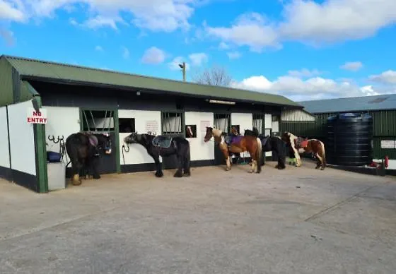 Simply Nocleg ze śniadaniem